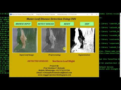 Python Code for Maize Plant Disease Detection Using CNN Neural Network Full Project Source Code