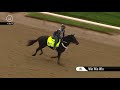 WIN WIN WIN 4.26.19 Gallop