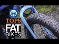 Top 5 - Fat Bikes