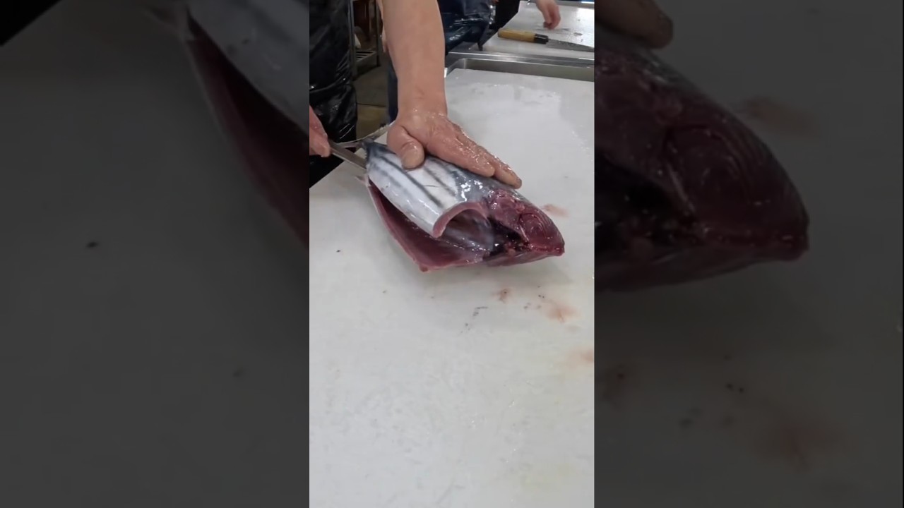 Amazing tuna cutting skills 