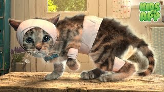 Fun Pet Care Kids Game - Little Kitten Adventures - Kids Learn Colors,Puzzles screenshot 3