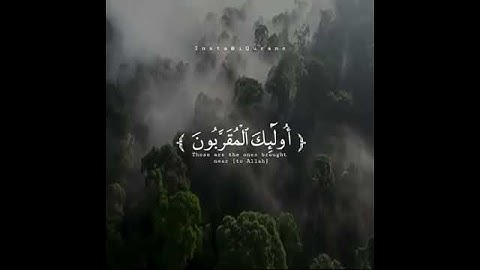 هدايات القرآن الكريم صوت جميل جدا صوت عذب تخشع له القلوب سورة الواقعه:١٦ بصوت القارئ عمر شميم