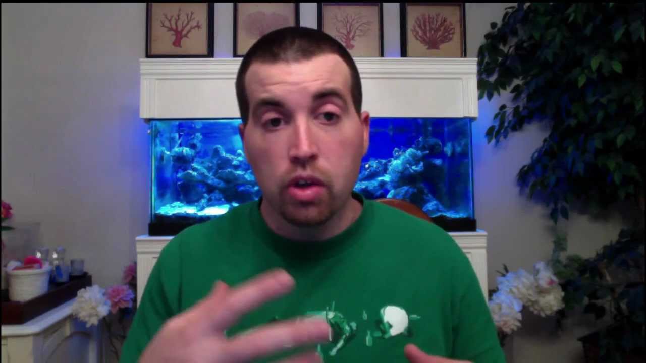 Ocean News: The Cove Predicts Dolphin Eating Epidemic and US sued for Whale Deafness