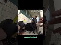 Karen ARRESTED After Stealing People's Mail & Orders — Caught On Camera With Full Evidence #arrested