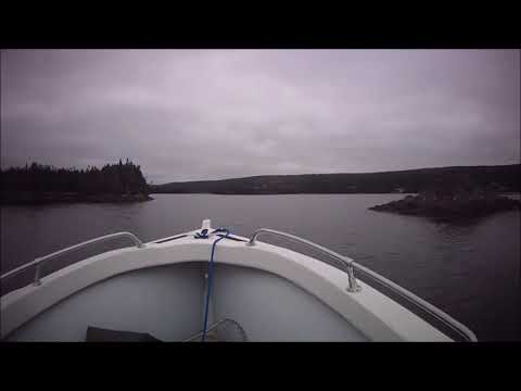 Speedboat trip - Placentia, NL