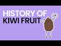History of Kiwi Fruit - What Am I Even Eating?!