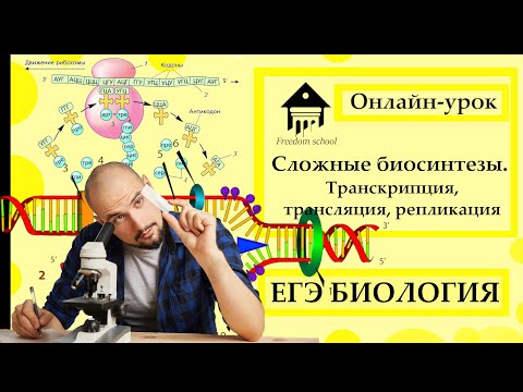 СЛОЖНЫЕ БИОСИНТЕЗЫ - Репликация, Транскрипция, Трансляция для ЕГЭ 2023|ЕГЭ БИОЛОГИЯ|Freedom|