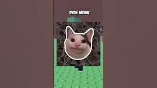 meme cat #funny #robloxshorts