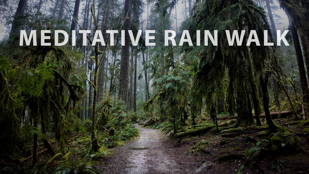 Meditative Rain Hike in a Lush North Vancouver Forest