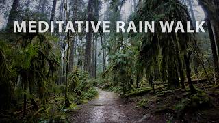 Meditative Rain Hike in a Lush North Vancouver Forest