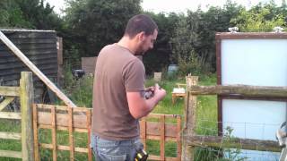 Polytunnel Update Ep3