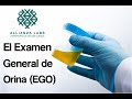 El Examen General de Orina EGO