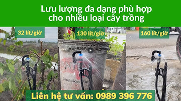 Béc tưới MK20 hiệu quả tối ưu hệ thống tưới gốc - Giá thành cực rẻ