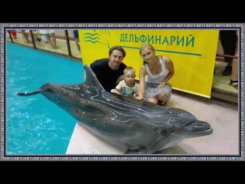 Геленджикский дельфинарий | минимум монтажа
