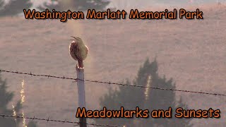 Washington Marlatt Memorial Park: Meadowlarks and Sunsets