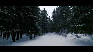 Зимний лес - FPV видео
