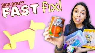 كان كلبي يعاني من الإسهال 😨 هذا حل المشكلة بسرعة! 🙌 screenshot 5