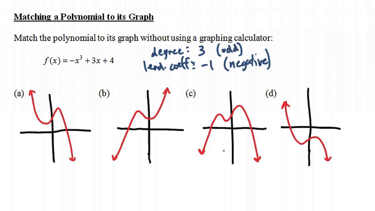 graphing polynomial functions homework