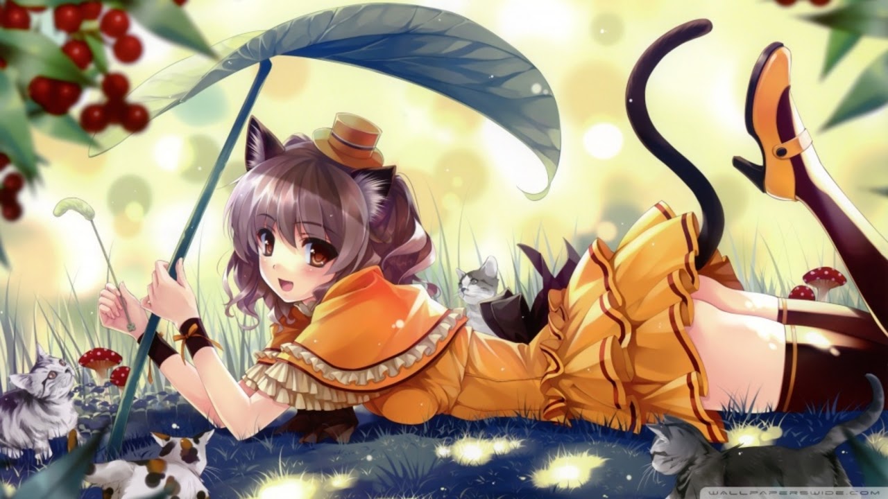 A Cat Repaying Kindness