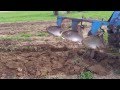 Oliver 1800 and Deere 3 pan plow - YouTube