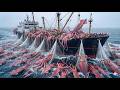The 100-Mile Line: Inside the Extreme Giant Squid Fishery (Documentary)
