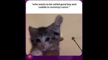 day 151 of p-ranking* a random level from ultrakill until i figure out my gender identity