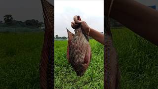 fish fry😋🐠#shorts#recipe#food