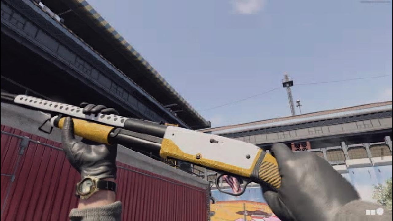 Call of Duty Black Ops Cold War/Warzone Hauer 77 Broom Stick Showcase (All Mastery Camos)