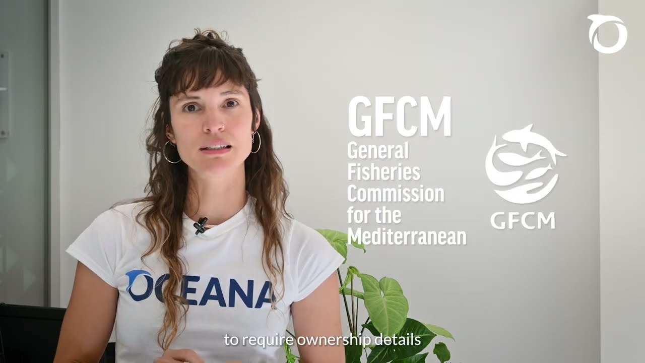 Transparency on ultimate ownership for the Mediterranean fishing fleet