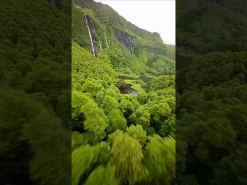 The deep secret of the Amazon jungle #shorts