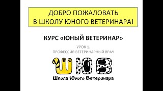 Урок 1  Профессия ветеринарный врач