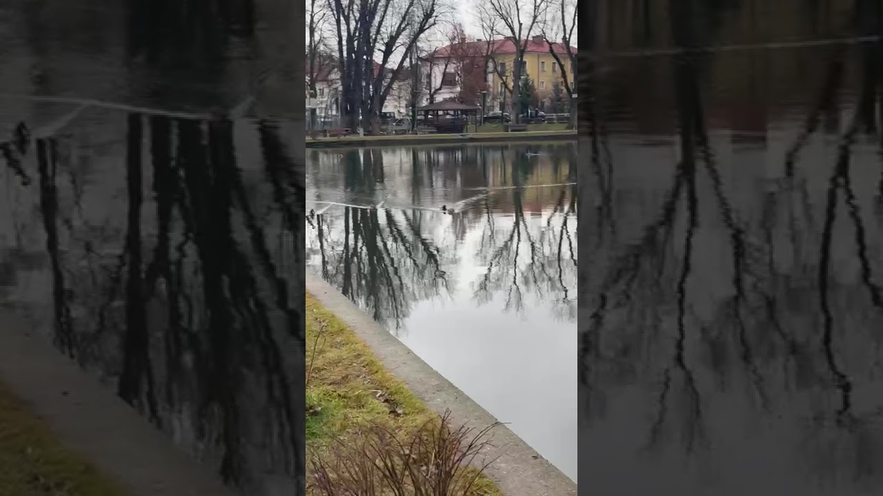 This is Cluj, Romania – You Have to See This! 😍