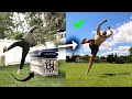 Learn How to Cork in Backyard Fast - Easy Hack Eliminates Fear