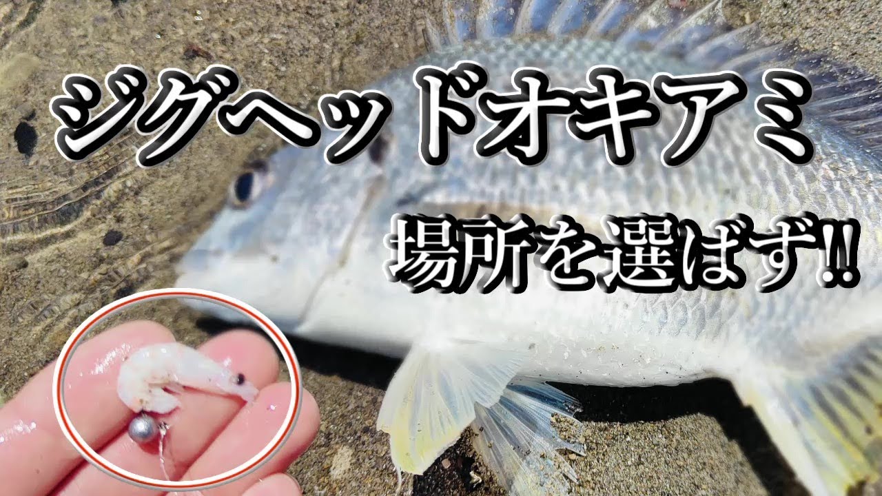 河口で爆釣ジグヘッドオキアミ