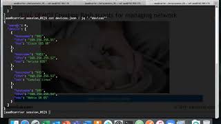 Working with JSON data structures using Bash in Linux
