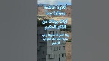 آيات بينات من الذكر الحكيم #اكسبلور #المصحف #explore #quran #لايك #القزابري #دويتو #صبرو #قرآن #ترند