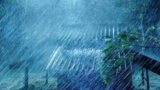 Thunderstorm Rain Sounds for Sleeping - Rainstorm, Howling Wind, Thunder Sounds for Deep Sleep