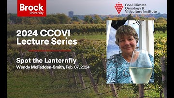 2024 CCOVI Lecture Series - Wendy McFadden-Smith