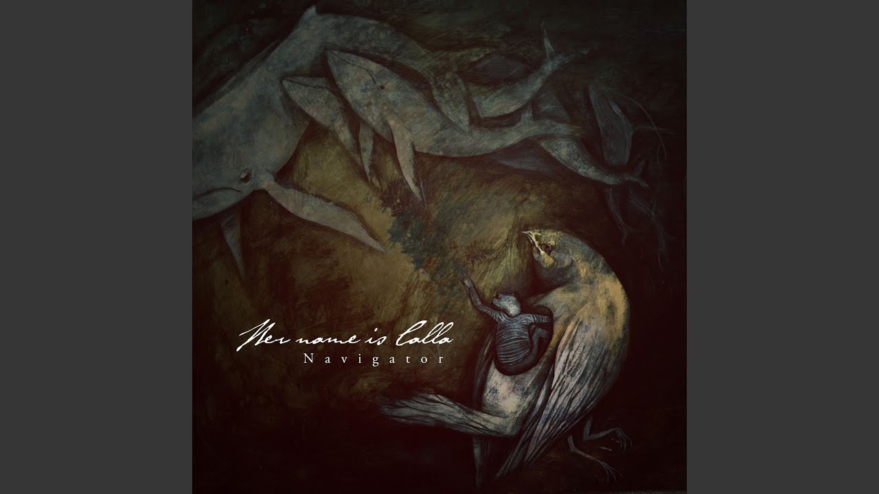 Whale Fall: A Journal