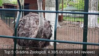 Best Tourist Attractions you MUST SEE in Craiova, Romania | 2019