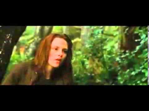 كنت ماشيه مى سليم 