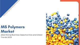 MS Polymers Market | Exactitude Consultancy Reports