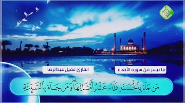 تلاوة هادئة | ما تيسر من سورة الانعام | القارئ عقيل عبدالرضا