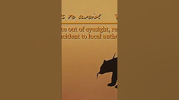 Gemini Home Entertainment #horrorstory #scary #gemini #fyp