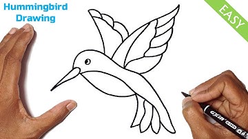 How to Draw a Hummingbird Step by Step Easy | Cute Hummingbird Drawing
