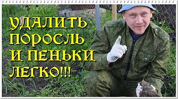 УДАЛИТЬ ПОРОСЛЬ И ПЕНЬКИ ЛЕГКО!