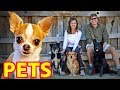 🐶 PETS 🐱 (Esp. Dogs & Cats) & RV Travel - Expert Advice from Nealys on Wheels!