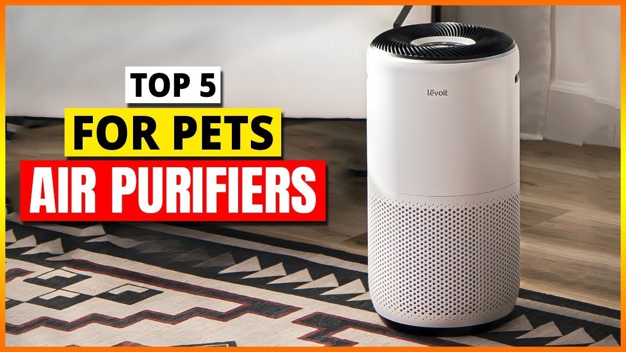 Top 5 Best Air Purifiers For Pets In 2025 - YouTube