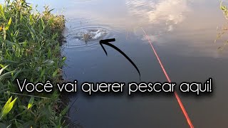 Fui Cevar As Tilápias E No Final Acabei Pescando E Garantindo O Frito.