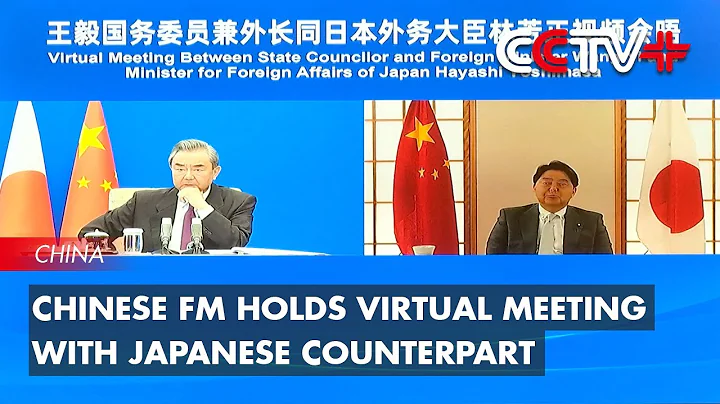 Chinese FM Holds Virtual Meeting with Japanese Counterpart - DayDayNews